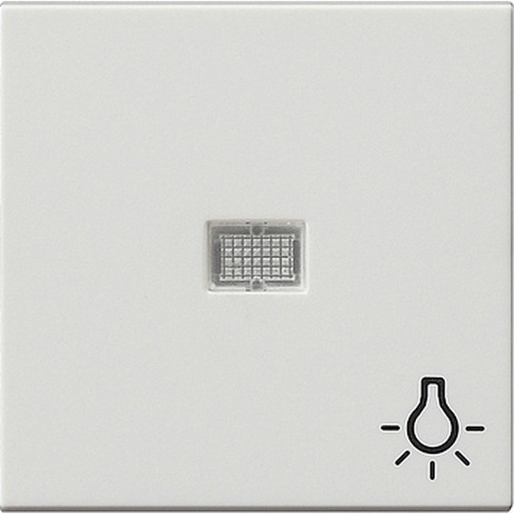 Клавиша с линзой Gira SYSTEM 55, белый матовый, 063027, G063027