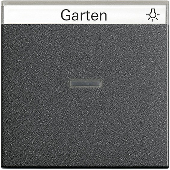 Клавиша с линзой Gira SYSTEM 55, антрацит, 067028, G067028