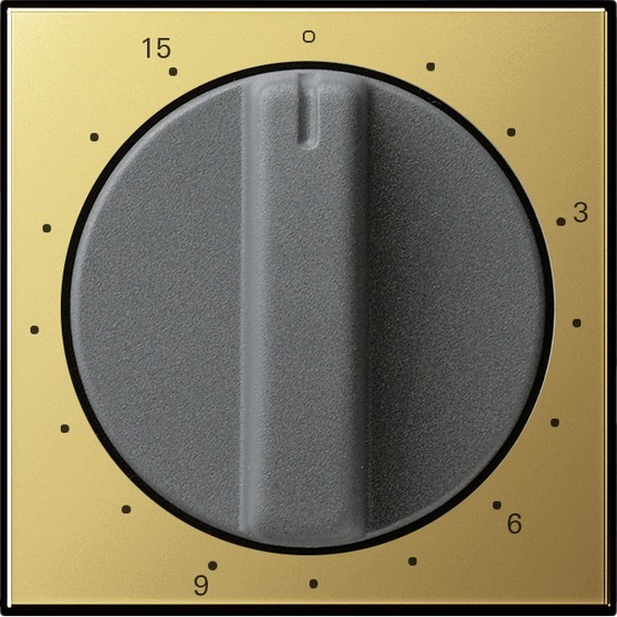 Накладка на таймер Gira SYSTEM 55, латунь, 0640604, G0640604