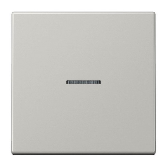 Клавиша с линзой JUNG LS 990, светло-серый, LS1561.07ULG