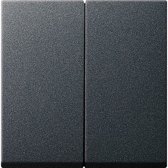 Клавиша двойная Gira SYSTEM 55, антрацит, 026628, G026628