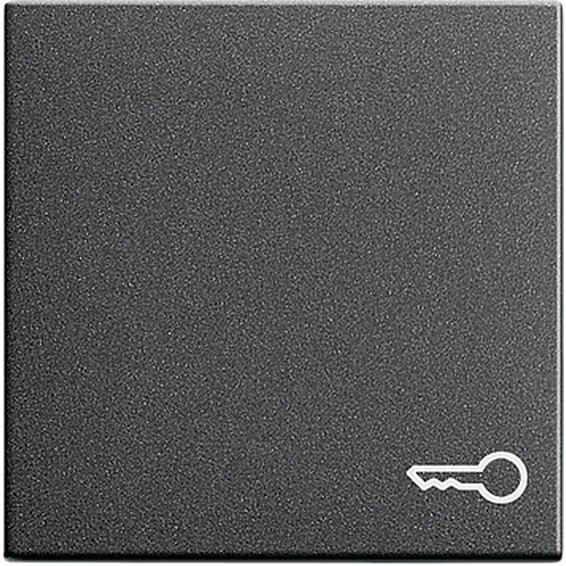 Клавиша Gira SYSTEM 55, антрацит, 028728, G028728